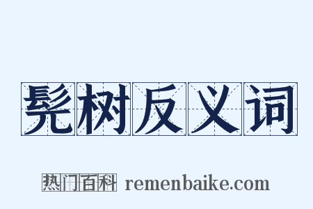 髡树反义词是什么意思的图片